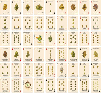 Shuffle Club Co Cannabis Playing Cards – Empire Rolling Edition | Premium Adult Poker & Blackjack Cards for Collectors & Game Night